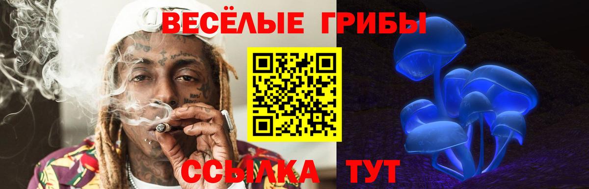 Галлюциногенные грибы Cubensis  Вход с VPN  Котлас 